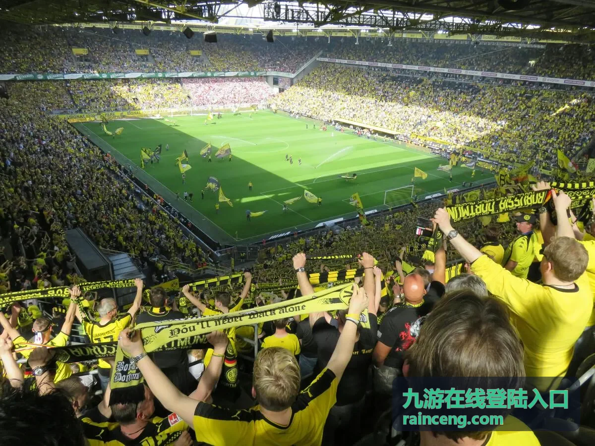 九游在线登陆入口安全验证环节的操作示意